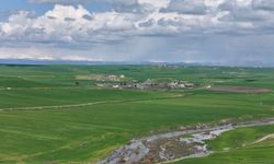 Diyarbakır’da 250 dönüm buğday tarlasına sabotaj iddiası