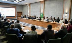 Diyarbakır’ın eski Bağlar’ı ne olacak? Çözüm için 2. Çalıştay başladı