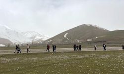 Üniversite öğrencileri çiğdemler arasında yürüdü