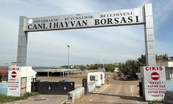 Diyarbakır Canlı Hayvan Borsası sil baştan yenileniyor