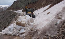Diyarbakır’da çığ ve heyelan nedeniyle hasar gören yollar onarılıyor