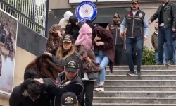 Diyarbakır da dahil 4 ilde fuhuş baskını