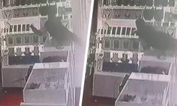 Diyarbakır’da akıllara durgunluk veren hırsızlık: Masaya çıkıp telefonları çaldı!