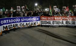 Diyarbakır’dan dünyaya mesaj: İdam yasasını geri çekin!