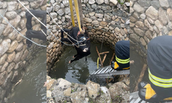 Diyarbakır’da su kuyusuna düşen inek kurtarıldı