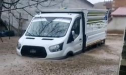 Sel felaketinde araçlar ve hayvanlar mahsur kaldı