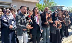 Rojwelat Kızmaz dosyasında önemli gelişme: Gülistan Doku dosyasıyla benzerlikler