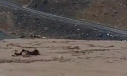 Sağanak yağış Siirt’i vurdu: Köyde hayvancılık durma noktasında