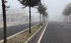 Diyarbakır’da yoğun sis hayatı felç etti!