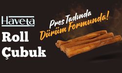 En İyi Yavru Köpek Ödül Maması ve Kurutulmuş Mamalarla Köpek Eğitimi