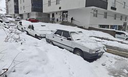 Bitlis'te kar 82 köy yolunu kapattı