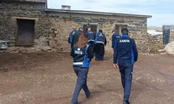 Diyarbakır’da gıda skandalı: Sağlıksız peynir imalathanesi deşifre oldu