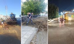 Diyarbakır Bağlar Belediyesi’nden Bayram sonrası seferberlik!