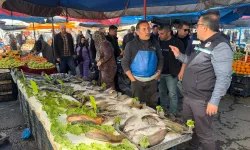 Diyarbakır’da yasak dönemde balık satışı denetlendi
