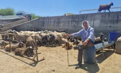 Diyarbakır’da bayramın ilk gününde hayvan borsasında yoğunluk