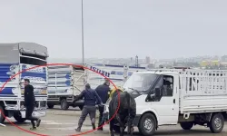Diyarbakır'da korku dolu anlar: Kaçan boğa paniğe neden oldu