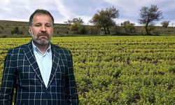 Diyarbakır’dan kritik uyarı!  Yağış buğdaya yaradı, mercimeği bitirdi