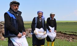 Diyarbakır’da tescilli Karacadağ pirincinin ekimine başlandı
