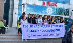 Diyarbakır’da Ebeler Günü’nde net mesaj