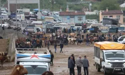 Diyarbakır’da kurbanlık hareketliliği