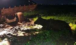 Diyarbakır’da inek kurtarma operasyonu