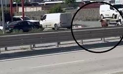 Orta refüjden atlayan kurbanlık keçi firar etti