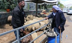 Diyarbakır’da Kurban pazarında sessizlik