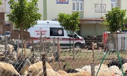 Diyarbakır’da kasaplardan bayram öncesi “acemilik” uyarısı