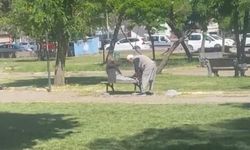 Diyarbakır'da yaşlı amcalar parkta mekik çekti