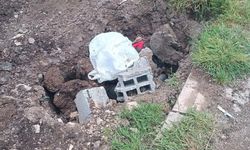 Dicle Elektriğin 32 milyon liralık yatırımı engellendi