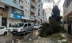 Şanlıurfa’da okullar tatil edildi