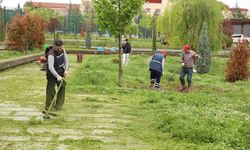 Diyarbakır’ın parkları yaza hazırlanıyor