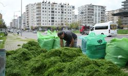 Diyarbakır’da hayvan besicilerine destek