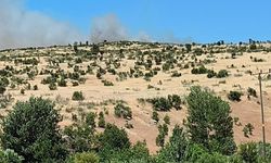 Diyarbakır’da çıkan yangın korkuttu