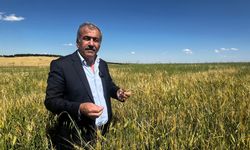 Diyarbakır’da dolu felaketi çiftçiyi vurdu