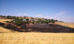 Diyarbakır’da hasat döneminde korkutan risk