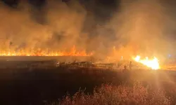 Diyarbakır’da anız yangını paniği
