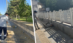 Diyarbakır Bağlar’da kötü görüntü tarih oldu
