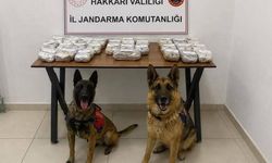 Araç içinde 21 kilo esrarla yakalandılar