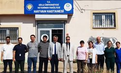 Dicle Üniversitesi Hayvan Hastanesi’nde ileri teknolojiyle tedavi süreci