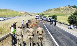Diyarbakır'da kamyonetin lastiği patladı: Sebzeler yola saçıldı