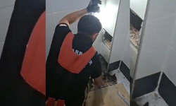 Diyarbakır'da itfaiye ekipleri bu kez bir kedi için harekete geçti