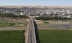 Diyarbakır Bismil'de mera usulsüzlüğü iddialarına inceleme