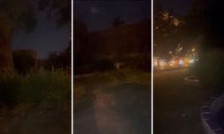 Diyarbakır Sur’da Parklar Karanlık, Vatandaş Mağdur; “Sesimizi Duyan Yok”