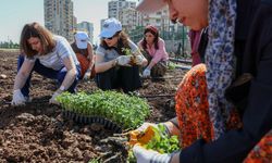 Diyarbakır’da kadınların ortak emeği toprakla buluştu