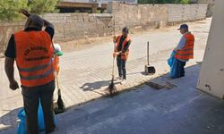 Diyarbakır Sur’da ortak temizlik seferberliği