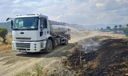 Diyarbakır’da korkutan yangın: 5 bin dönüm küle döndü