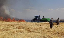 Diyarbakır’da yüzlerce dönüm arazi küle döndü