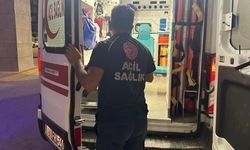 Arı sokması nedeniyle ölümle boğuşuyor