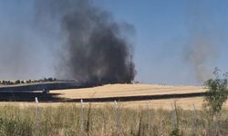 Diyarbakır'da korkutan yangın: Alevler petrol sahasına yaklaştı